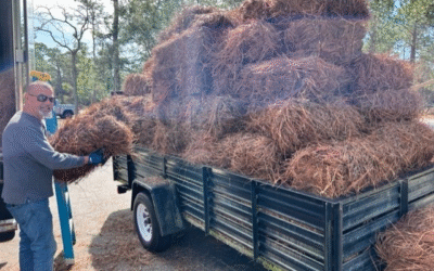 Fall 2025 Pine Straw and Mulch Sale Ends